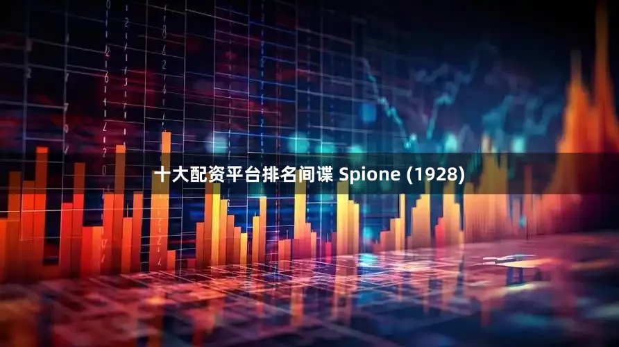 十大配资平台排名间谍 Spione (1928)